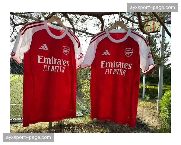 体育用品巨头与阿森纳就球衣赞助续约至2030年，金额创队史纪录