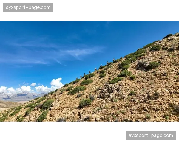 德国足协研讨会提议，未来青训准入标准将增加“小组压迫战术”理解能力考核